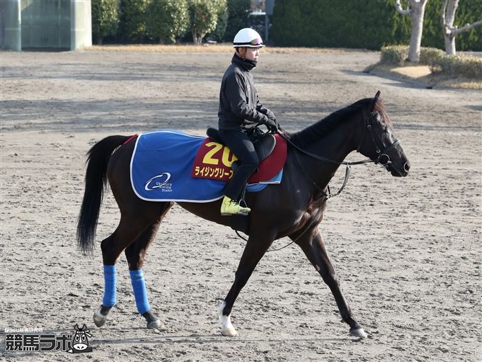 ライジングリーズン
