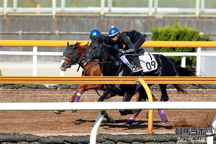 シュヴァルグラン