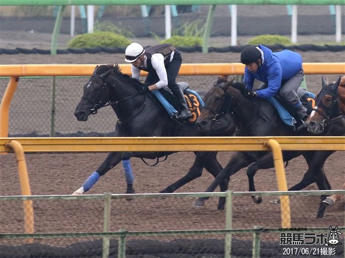 ライジングリーズン