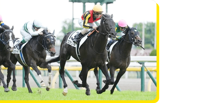 充実した競馬ライフ