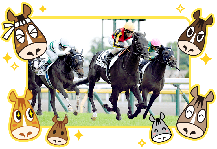 充実した競馬ライフと健全なファン同士の交流