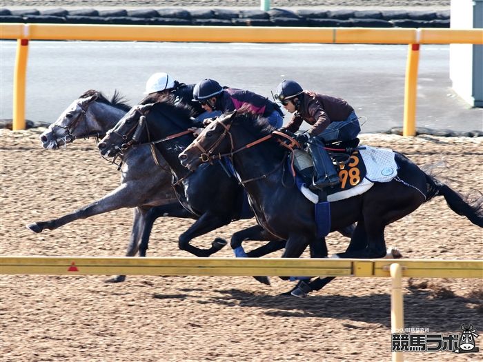 堀厩舎の良血高額馬がついにターフにお目見えか 京都ではシーザリオの子が登場 山田乗男の速報 先読みpog 競馬ラボ