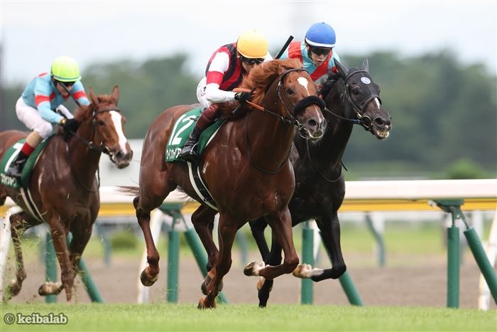 安田記念】実力馬ウインカーネリアンの状態を指揮官が語る！ | 競馬