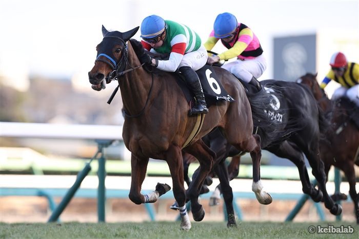 有馬記念】強力牡馬をまとめて差し切る！指揮官が語るスルーセブン