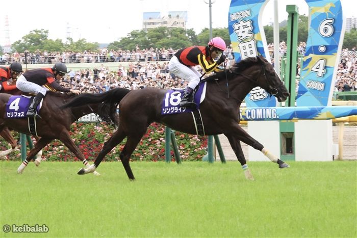 安田記念】昨年は該当馬2頭のワンスリー！ほぼ毎年来る「好走馬の法則」に合致した1頭 | 競馬ニュース | 競馬ラボ